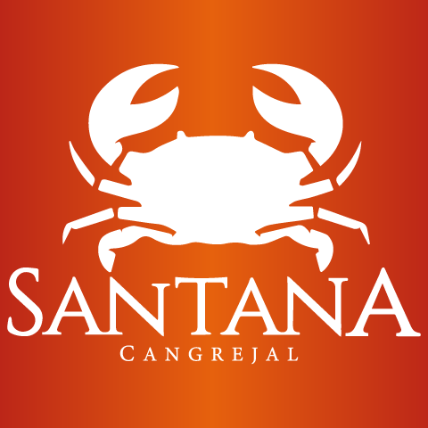 Cliente Santana - SystSolutions
